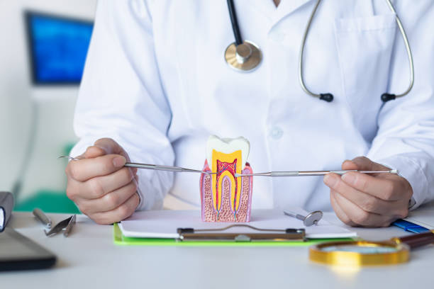 Best Urgent Tooth Repair  in Williamsport, MD